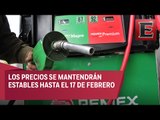 SHCP atrasa incremento a los precios de gasolinas y combustibles