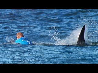 Surfista australiano sobrevive a ataque de tiburón