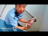 Se recupera en hospital de China la bebé arrojada y encontrada en un baño público
