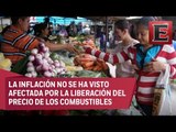 Análisis de la inflación en México tras la liberación del precio de los combustibles