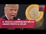 Análisis de la estabilidad del peso durante la presidencia de Trump