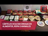 Narcos trasladan drogas hasta en animales