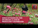 México es uno de los mayores productores de drogas según la ONU