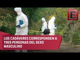 Descubren en Michoacán fosa clandestina con tres cuerpos