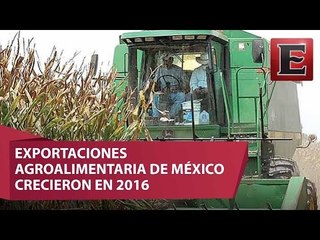 2016, el año de las exportaciones agroalimentaria de México