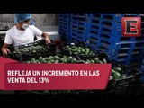 Aumentan exportaciones de productos agroalimentarios