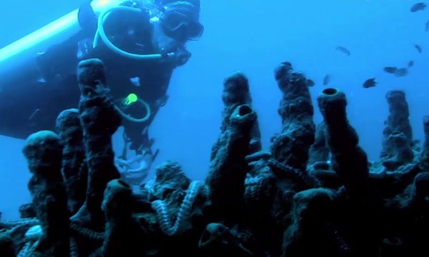Pulau Cubadak | Hidden Paradise (2)