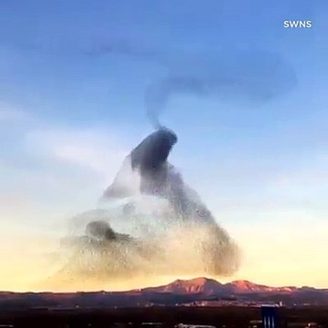 Un nuage formé de milliers d'oiseaux qui dansent dans le ciel... Magnifique