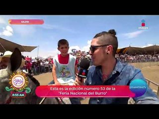 Sajid nos lleva a conocer la Feria Nacional del burro en Ocumba | Sale el Sol