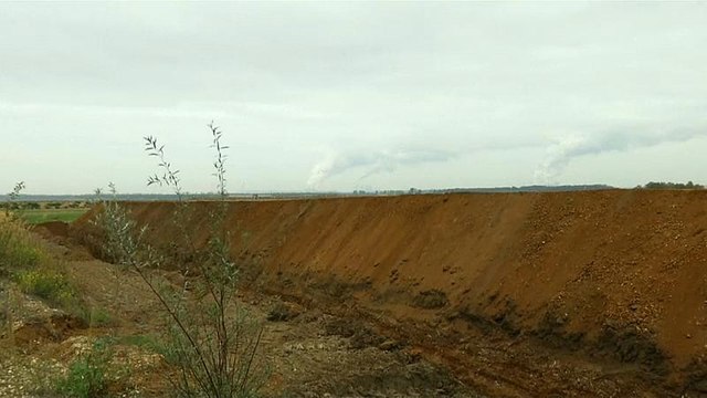 Ein guter Tag für die Natur : Hambacher Forst wird nicht gerodet