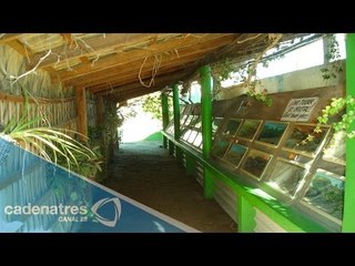 Diversión y conocimiento en el Serpentario de La Paz, Baja California