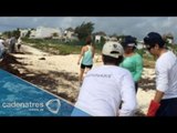 Conductores ebrios pagan infracciones limpiando las playas de Quintana Roo