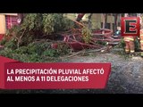 Caída de árboles y encharcamientos en la CDMX por lluvias
