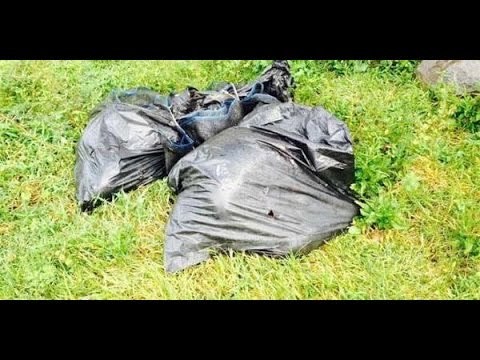 ¡Torturadas y asesinadas! Hallan cuerpos sin vida de dos mujeres en Morelos