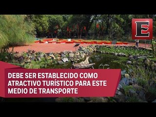 Proponen que Jardín Botánico de Chapultepec sea parada del Turibus