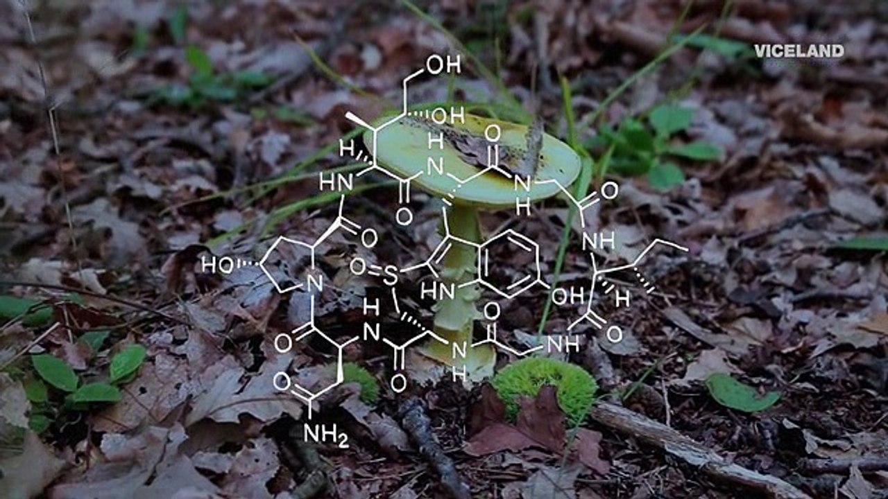 Hamiltons Pharmacopeia S02 E07