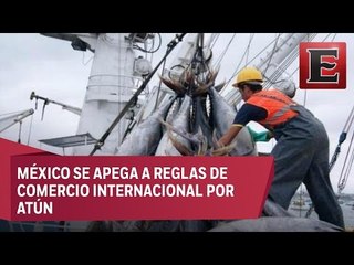 México demuestra que la pesca del Atún es sustentable