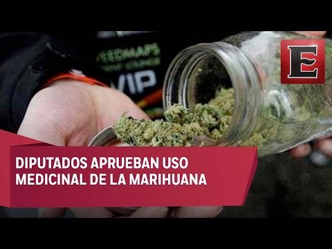 Aprueban uso medicinal de la marihuana