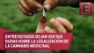 Mariguana medicinal causaría la legalización de otras drogas, afirma encuesta