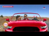 Atrapados en la red: ¡los videos más divertidos en la carretera! | Sale el Sol