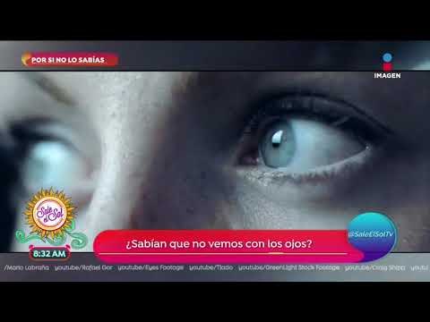 ¿Sabías que no vemos con los ojos? | Sale el Sol