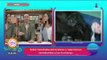 ¡La gorila Koko se comunicaba a través del lenguaje de señas! | Sale el Sol