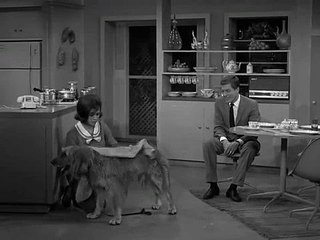 The Dick Van Dyke Show S03 E04