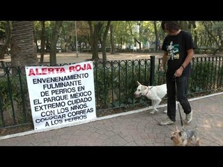 Preocupa a vecinos de la Condesa el asesinato de mascotas