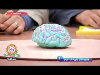 Sobre la mesa: Mitos y realidades de cómo cuidar el cerebro... | Sale el Sol