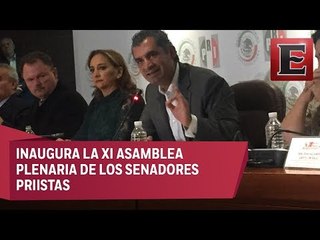 Ochoa Reza descarta que PRI le entré a la guerra política contra Anaya