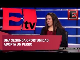 Crystal Hernández, ayuda a perros de la calle