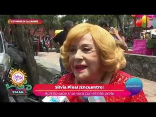 ¡Silvia Pinal no quiere hablar de Enrique Guzmán! | Sale el Sol