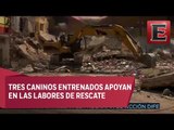 Sismo en México: Buscan a policía bajo los escombros en Juchitán, Oaxaca