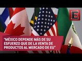 Pedro Tello: Renegociación del Tratado de Libre Comercio