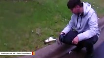 Bodycam Captures A Good Samaritan Reviving Stunned Squirrel