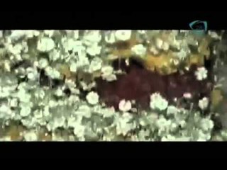 La sobremesa. Mitos y costumbres del día de muertos