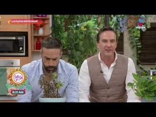 Nota curiosa: ¡un estudio afirma que la felicidad llega a los 50 años! | Sale el Sol