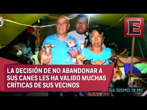 Rechaza ir a un albergue en Morelos para no abandonar a sus 20 perros