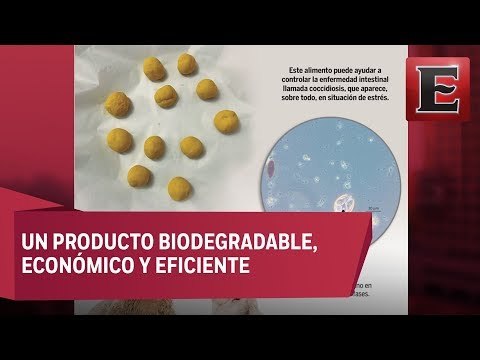 Galletas antiparasitarias para cabras y conejos