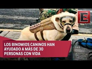 Punto y coma: Binomios caninos