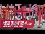 Punto y coma: Feminicidios en México