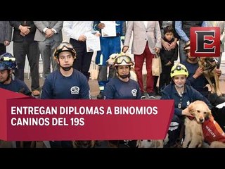 Télécharger la video: ALDF reconoce labor de binomios caninos del 19S