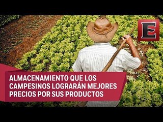 Ley de Almacenamiento Rural busca que cosechas no pierdan valor