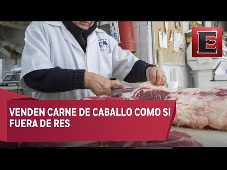 Gobierno del Edomex investiga venta ilegal de carne de caballo