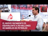 Mauricio Flores: EPN anuncia 'importante hallazgo' de hidrocaruburos