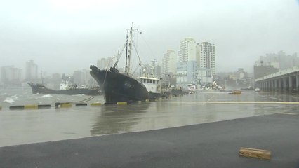 태풍 영향권 울산, 강한 비바람에 긴장 / YTN