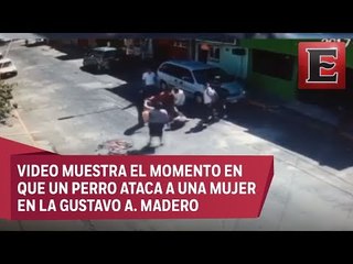 VIDEO: Mujer es atacada por un perro en calles de la GAM