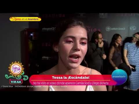 ¡Lluvia de famosos en el estreno de Los adioses ! | Sale el Sol