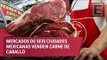 ¿Cuáles son las diferencias entre carne de caballo a la de res?