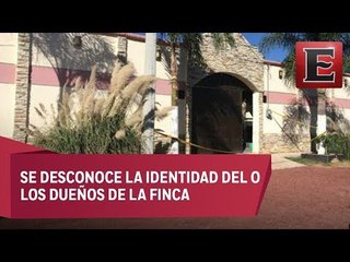 Desmantelan en Jalisco fábrica donde producían galletas con mariguana